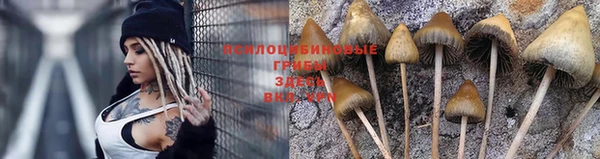 гашиш Балабаново