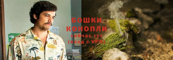 трава Балахна