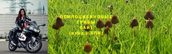 дурь Баксан