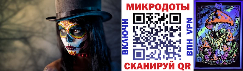 Псилоцибиновые грибы Psilocybe  Купить закладки  Вуктыл 